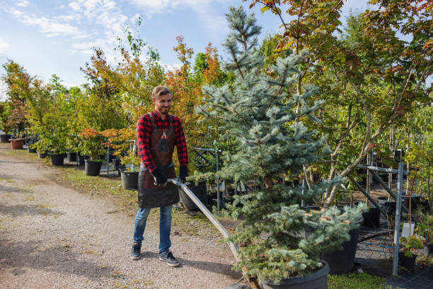 Leaf Removal in Carbondale, PA